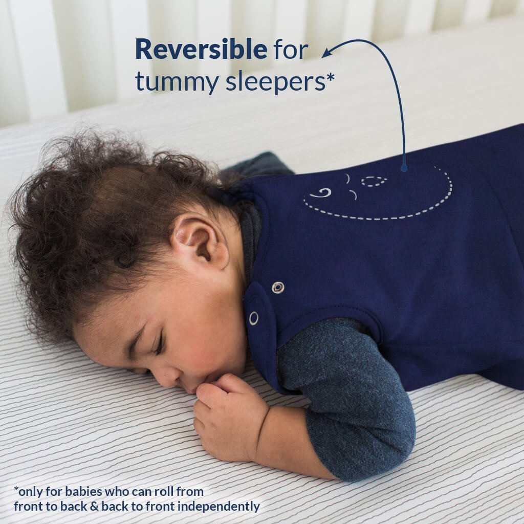 Woodland (Night Sky)