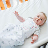 Flying Adventures of Bunny