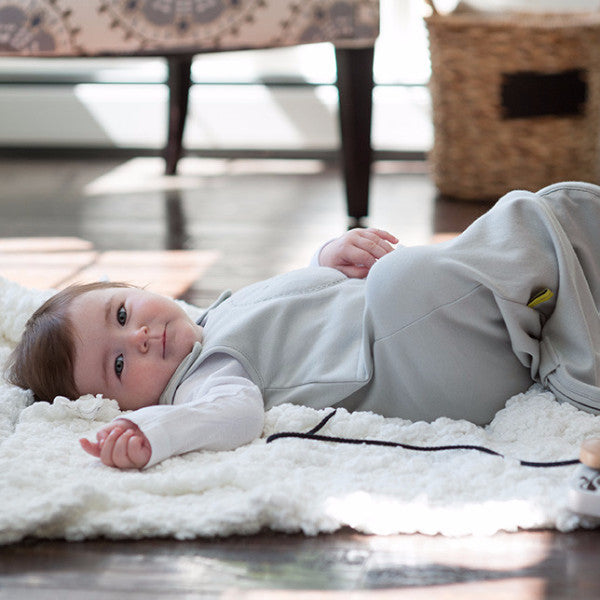 Grey and Puffin Party